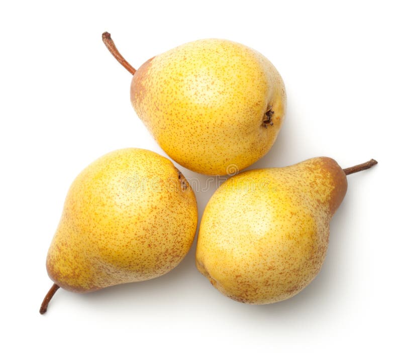 Pears Isolated on White Background Stock Photo Image of studio