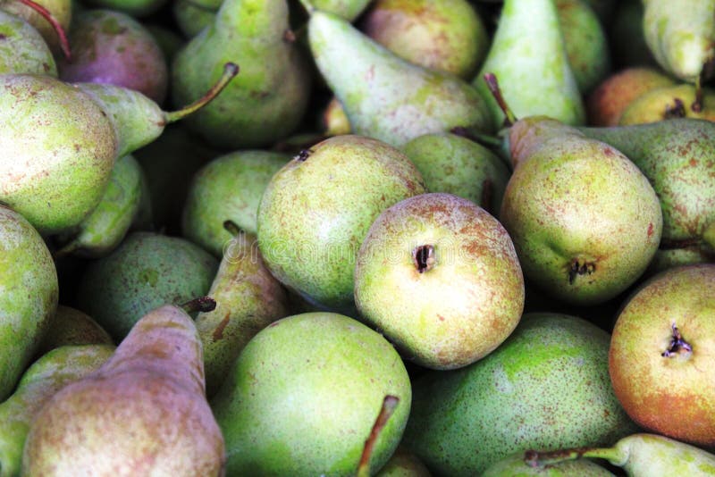 Pears in Steinsel. Luxembourg stock photos Pears in Steinsel. Luxembourg stock photos