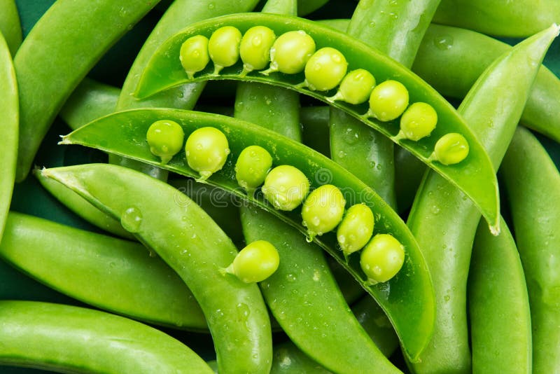 Peas stock photo. Image of dewdrop, fresh, green, plant 30953088
