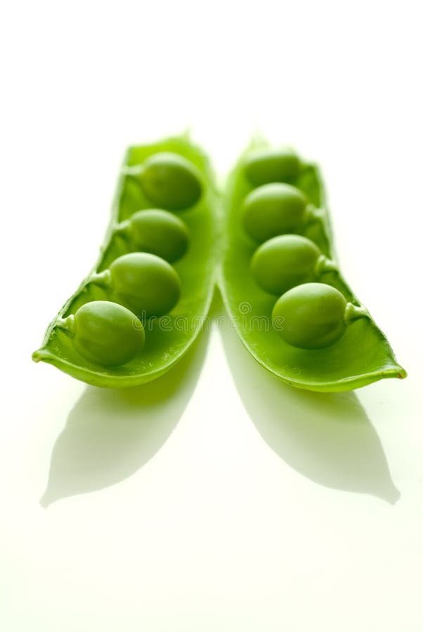 Peas in pod upright