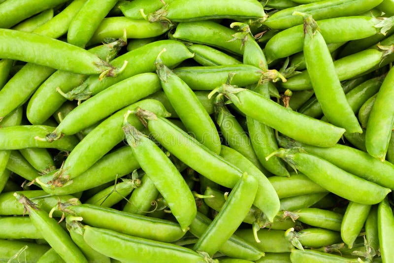 Peas pods stock image. Image of background, nutrition 119168995