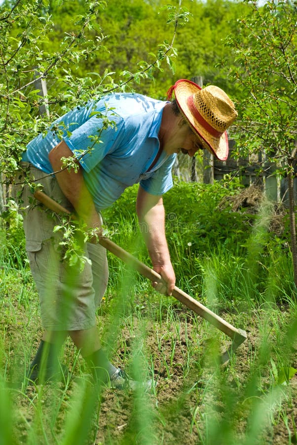 Peasant digging in the garden