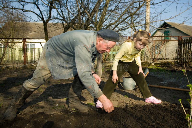 Peasant in kitchen garden