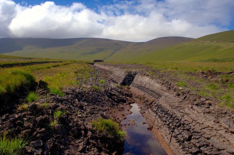 Peat Bog.