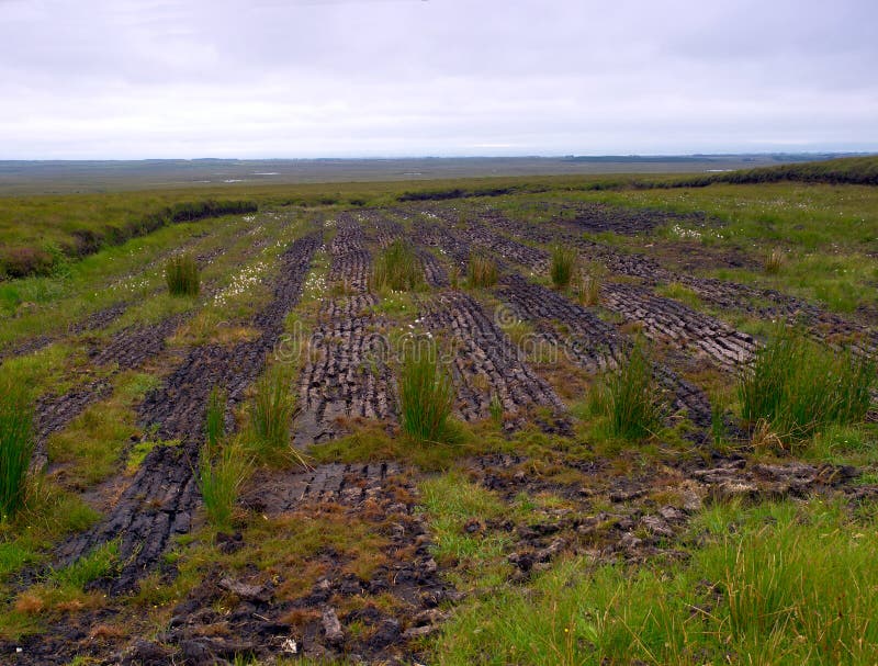 Peat Harvesting stock photo. Image of landscape, field 5830448