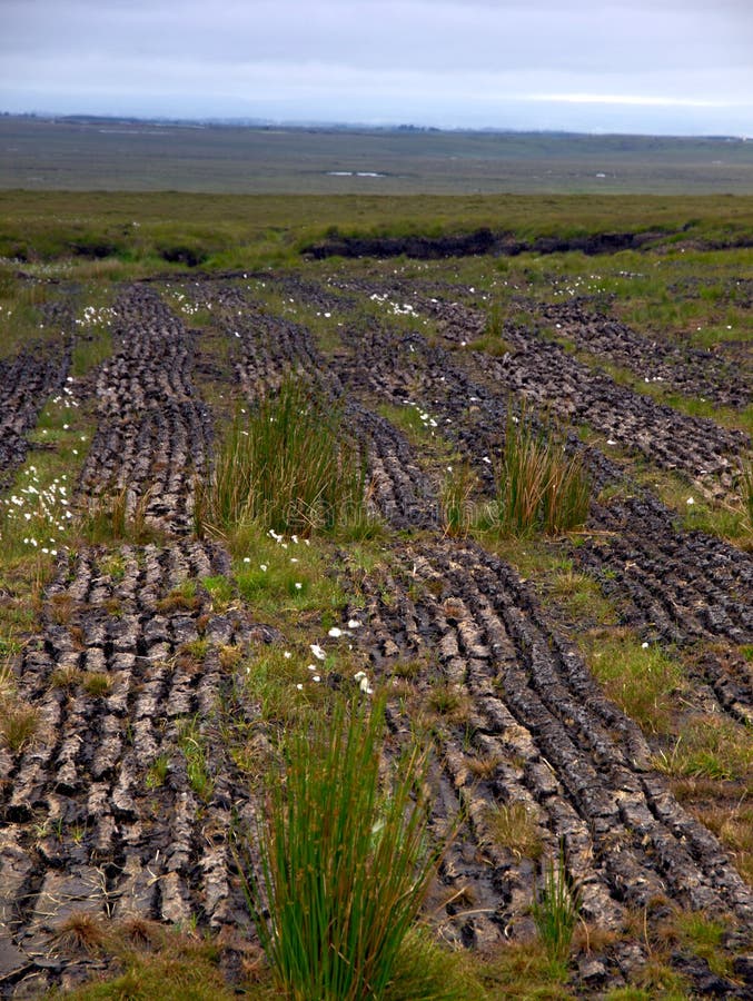Peat Harvesting stock photo. Image of landscape, field 5830448
