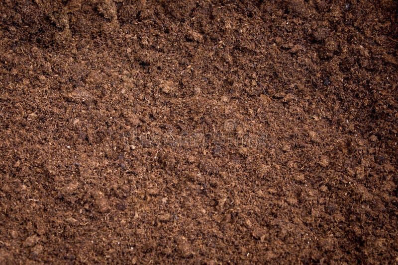 download free peat moss download free peat moss