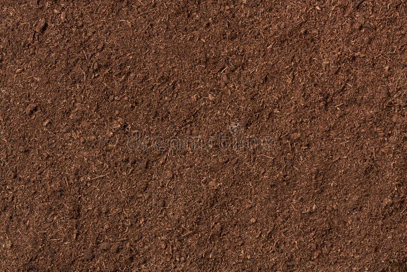 Peat Soil As A Background. Dirt Texture As Background Stock Image