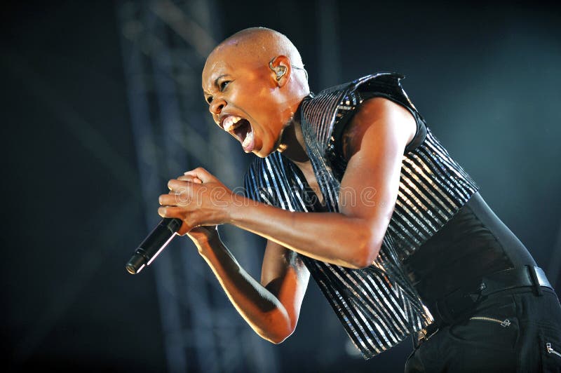 Peau de mouffette Anansie photos stock Peau de mouffette Anansie photos stock