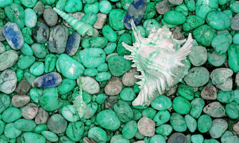 Pebble Stones on the Beach with Branched Murex Shell in Mint Green Color Tone