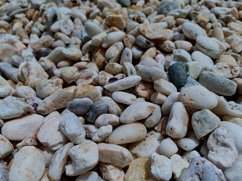 026 Pebbles Stone Wallpaper Stock Image Image of pebble
