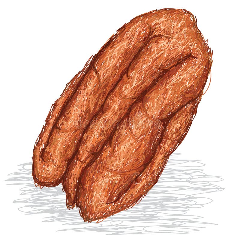 Pecan nut.