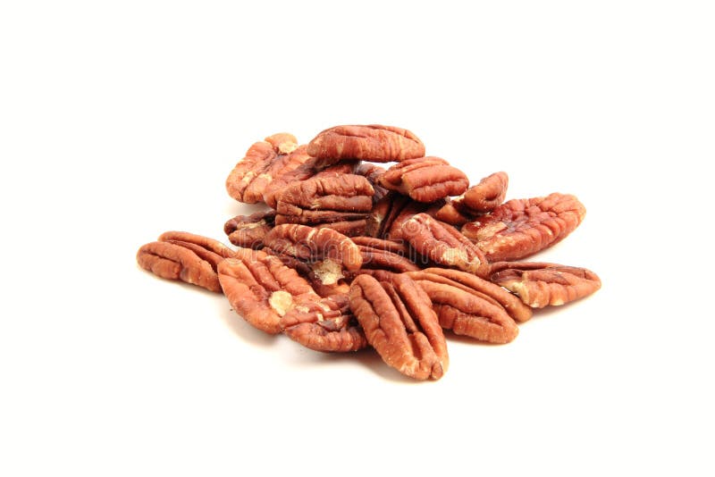Isolated Pecans stock photo. Image of cook, halved, treat 25941430
