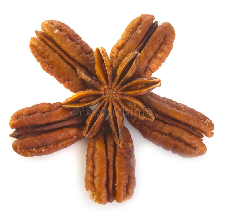 Pecan nuts and Anise star