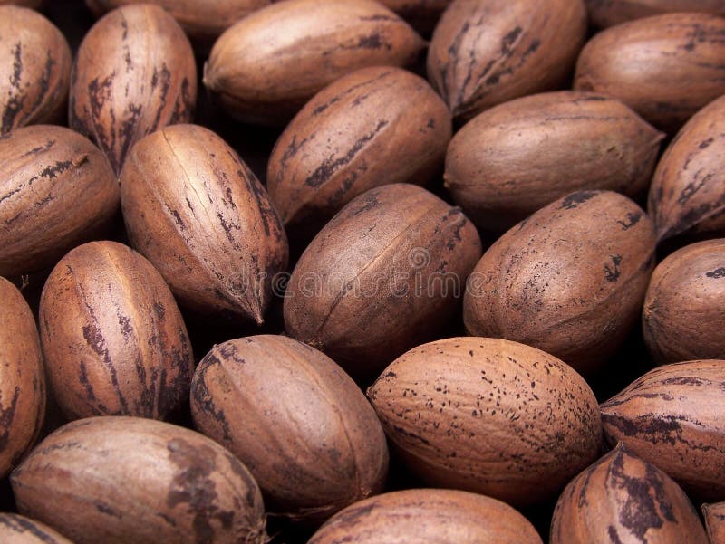 Pecans