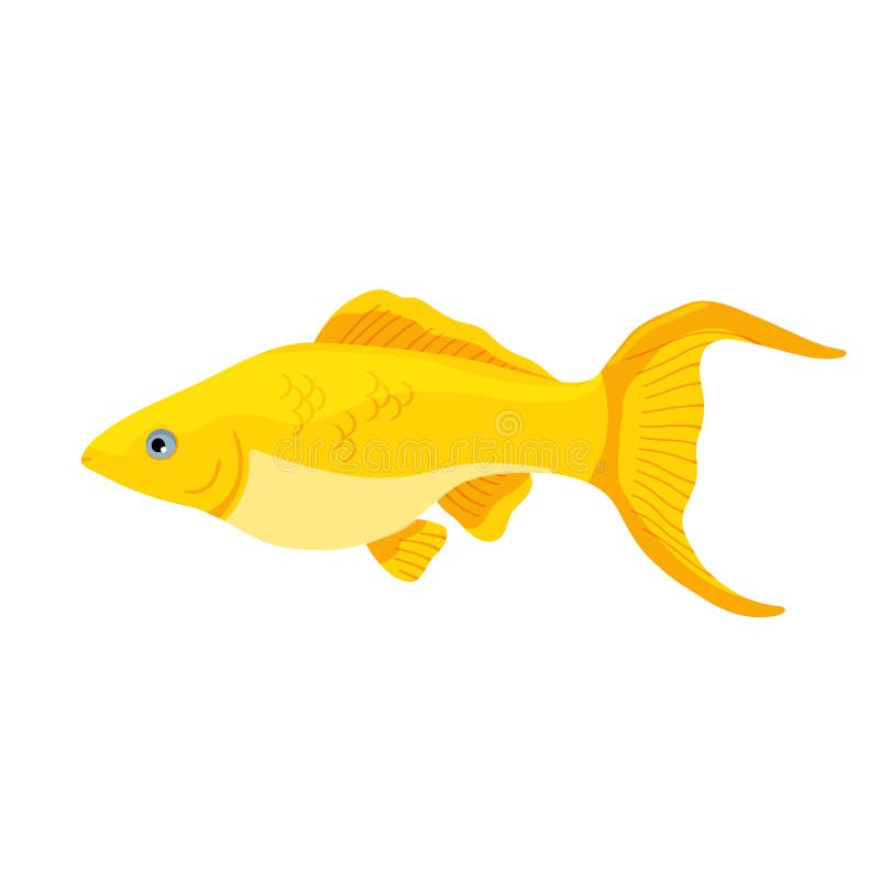Peces Dorados Amarillos. La Ilustración Vectorial En El Estilo De Dibujos Animados Está Aislada En Blanco. Ilustración del Vector - Ilustración de pescados, acuario: 231435045 Peces Dorados Amarillos. La Ilustración Vectorial En El Estilo De Dibujos Animados Está Aislada En Blanco. Ilustración del Vector - Ilustración de pescados, acuario: 231435045