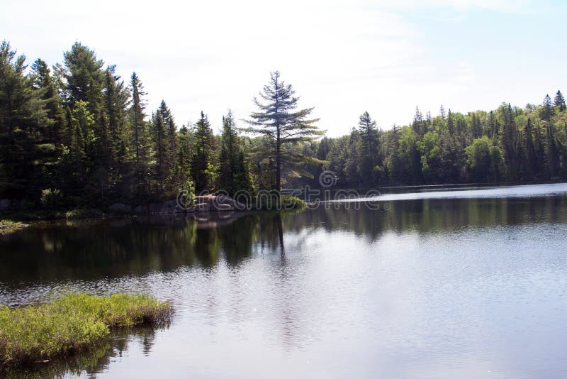 Peck Lake, Algonquin Provinciaal Park 2 Stock Afbeelding Afbeelding