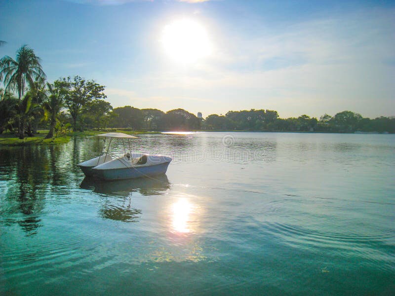 Pedal Boats on the Lake Sunset Sunrise Background Stock Image Image