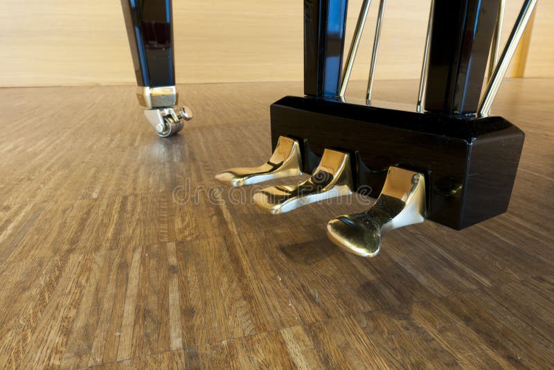 Pedali dorati di grande piano immagini stock libere da diritti Pedali dorati di grande piano immagini stock libere da diritti