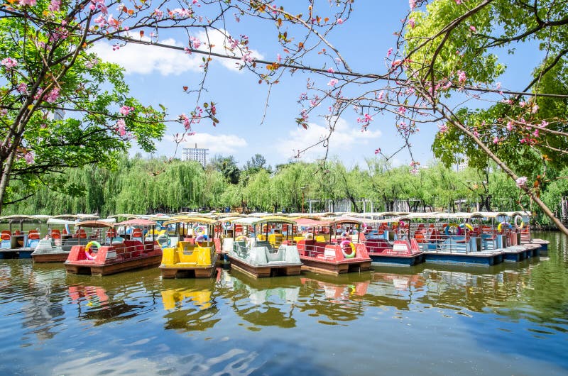 Pedalo boats parking in Green Lake Park ,it also known as Cui Hu Park is one of the most beautiful parks in Kunming city.