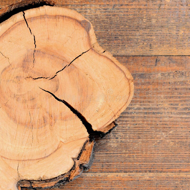 Aplicación De Cola De Madera En Un Pedazo De Madera Fotos, retratos,  imágenes y fotografía de archivo libres de derecho. Image 8610810