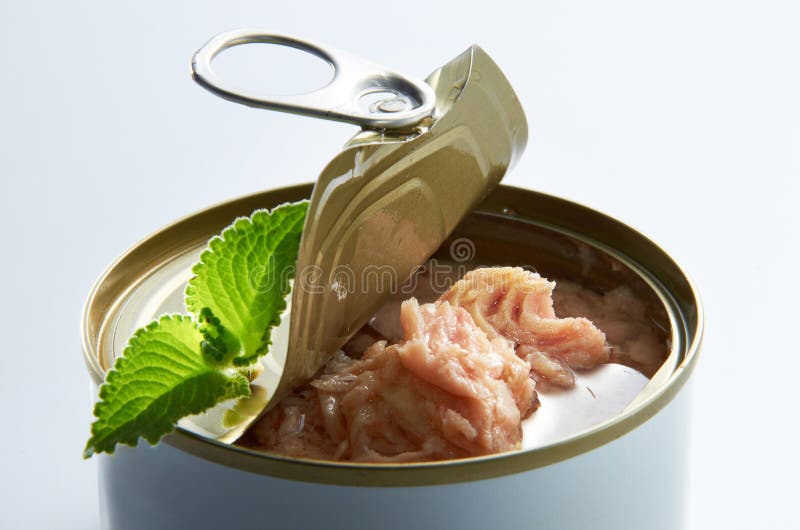 Pedaço do atum Pedaço do atum