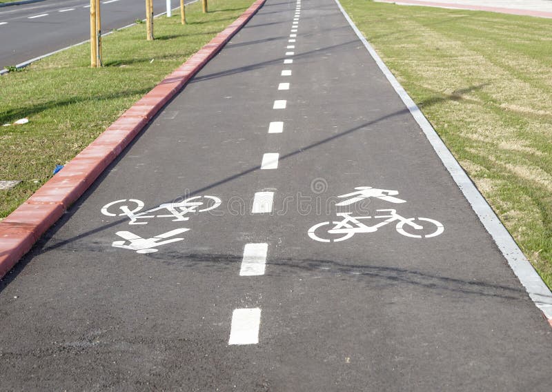 pedestrians and bicycle riders do not have to obey traffic signals. pedestrians and bicycle riders do not have to obey traffic signals.