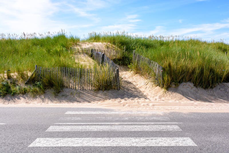 A pedestrian crossing on the seaside road and a pathway on the sand dune covered with wild grasses