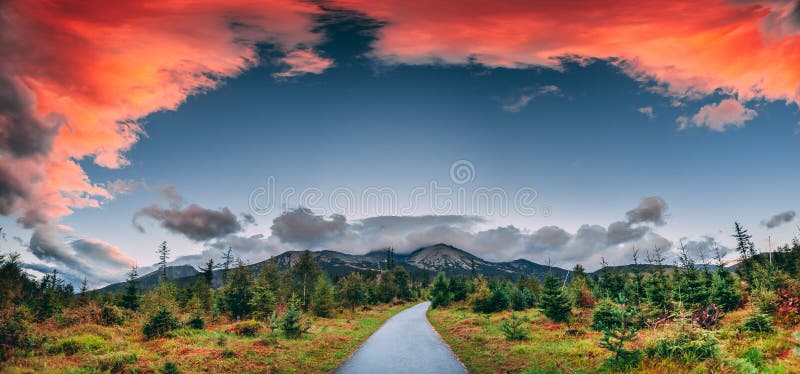 Pěší cesta v zeleném údolí. Tatry.