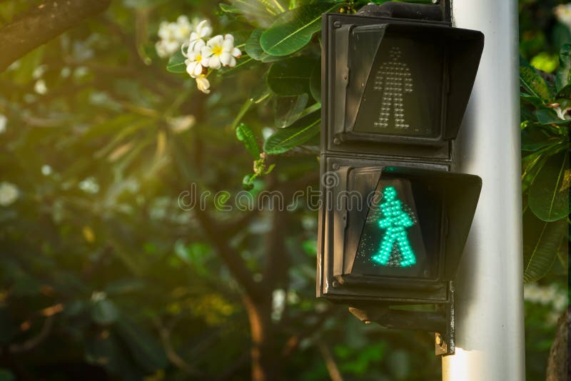 Pedestrian signals on traffic light pole. Pedestrian crossing sign for safe to walk in the city. Crosswalk signal. Green traffic