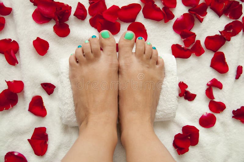 Woman Feet On White Sheet With Rose Petals Stock Image Image Of Body