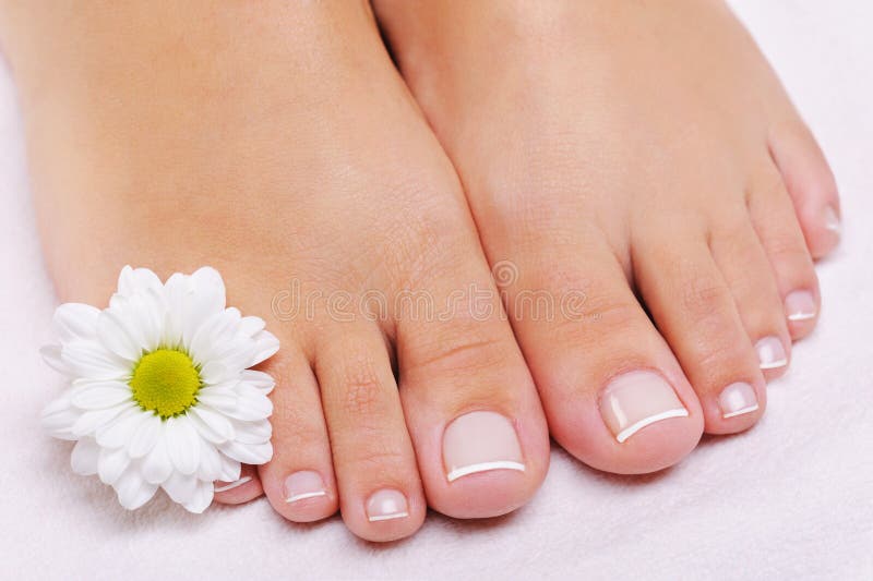 Pedicure francese sui piedi femminili fotografie stock Pedicure francese sui piedi femminili fotografie stock
