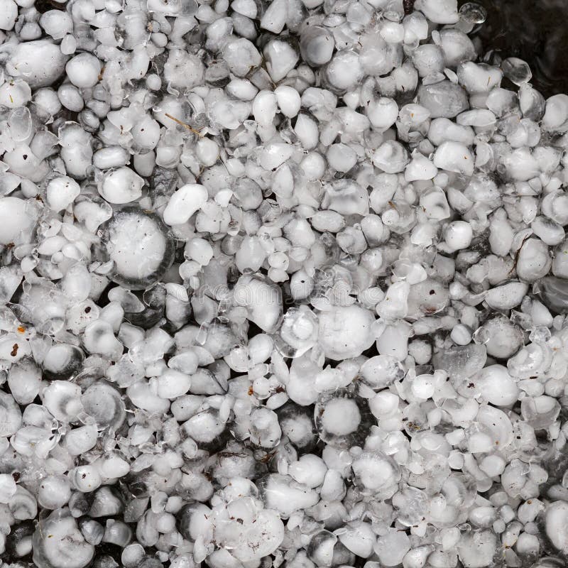 Pedras de granizo na terra após a chuva de granizo, saraiva do grande tamanho, saraiva feita sob medida com uma moeda maior foto de stock Pedras de granizo na terra após a chuva de granizo, saraiva do grande tamanho, saraiva feita sob medida com uma moeda maior foto de stock