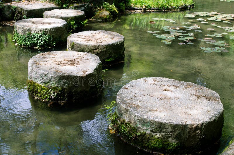Pedras de piso em uma lagoa de lótus