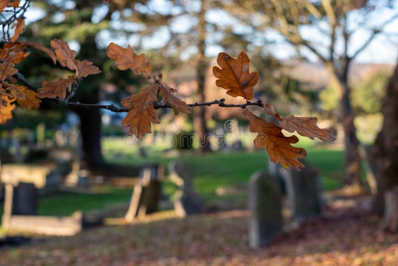 Pedras gravosas no cemitério das Paines Lane, Pinner, com sepulturas datadas dos tempos vitorianos, localizadas Paines Lane, Pinn foto de stock Pedras gravosas no cemitério das Paines Lane, Pinner, com sepulturas datadas dos tempos vitorianos, localizadas Paines Lane, Pinn foto de stock