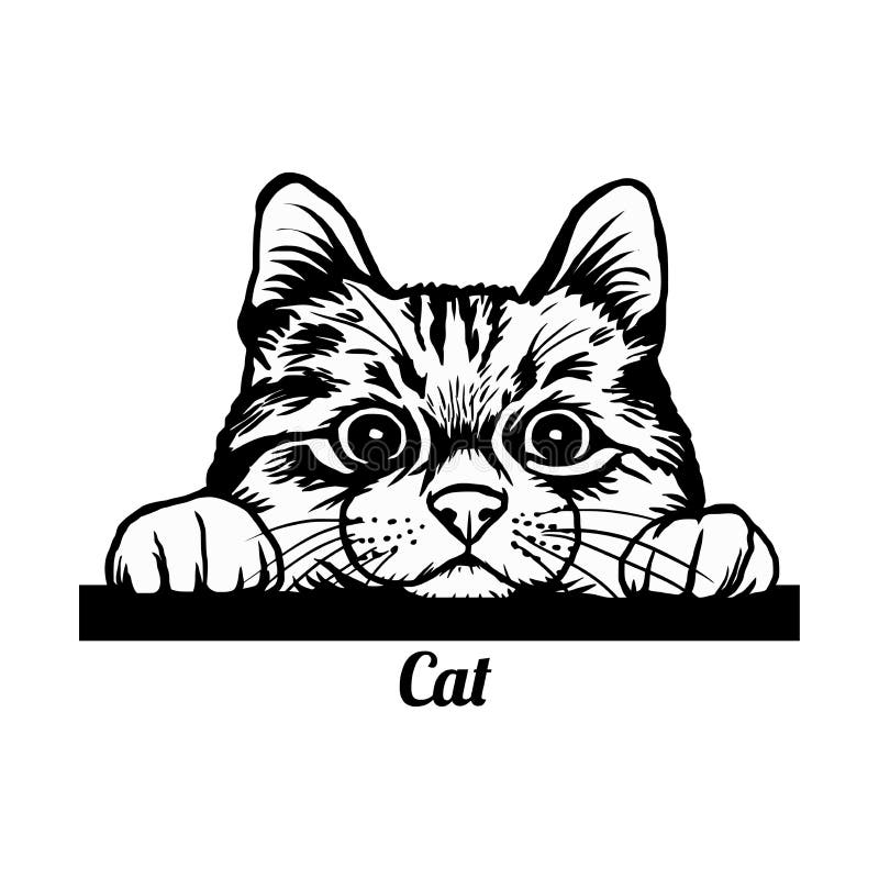 Cat Peeking Stock Illustrations – 2,371 Cat Peeking Stock Illustrations