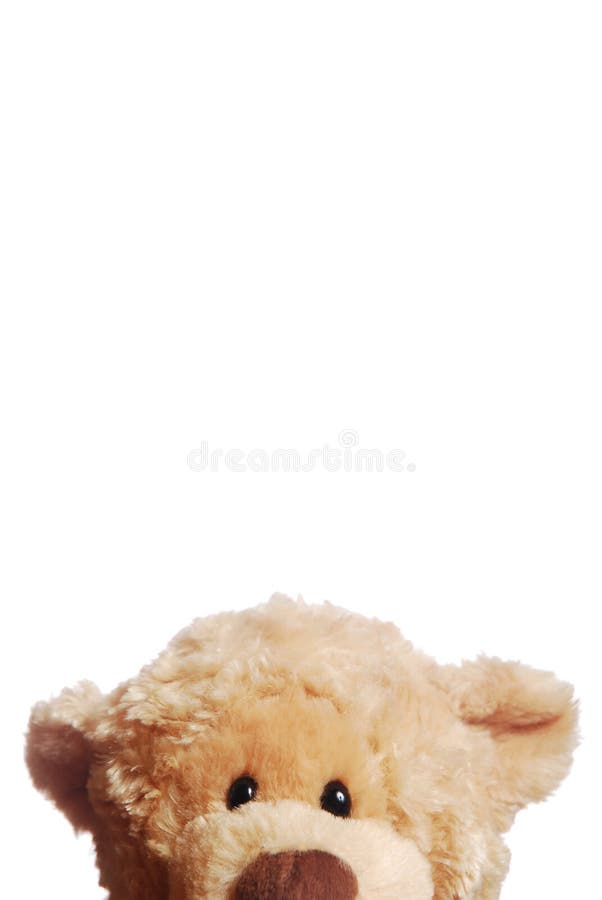 Peeking Teddy royalty free stock photos