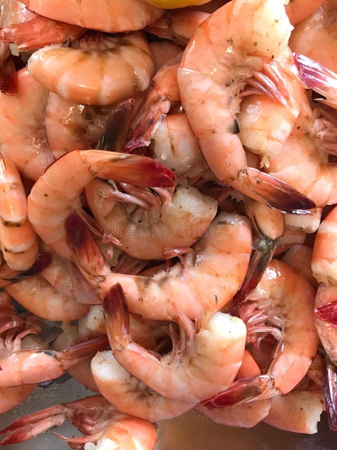 Peel and Eat Fresh Shrimp stock photo. Image of seafood 117354884