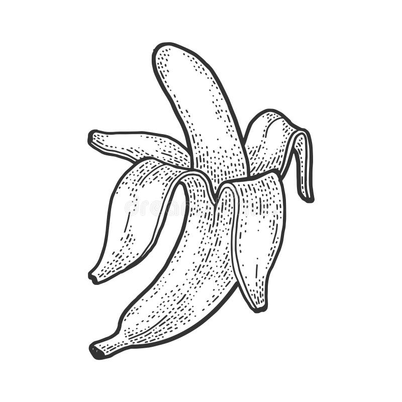 Peeled Banana Stock Illustrations – 1,643 Peeled Banana Stock ...