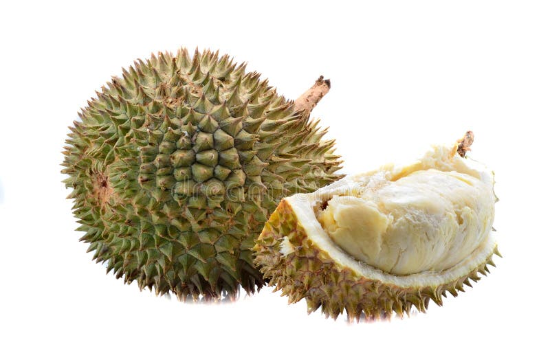 Peeled durian isolated on white background. royalty free stock images