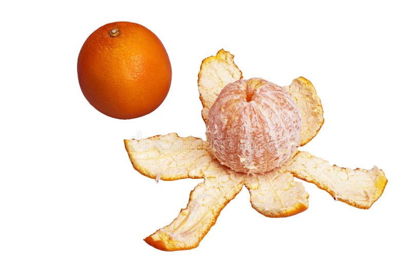 Peeled orange stock image. Image of nutrition, peel 300093077
