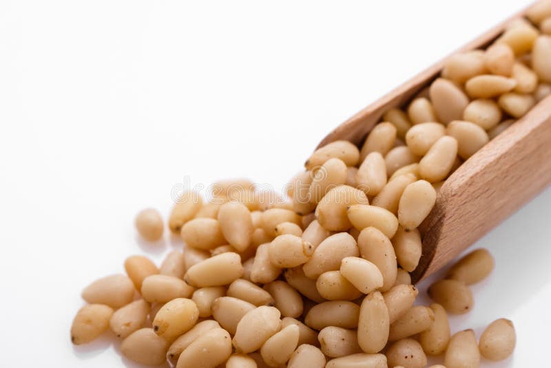 Peeled pine nuts on a white acrylic background stock photo