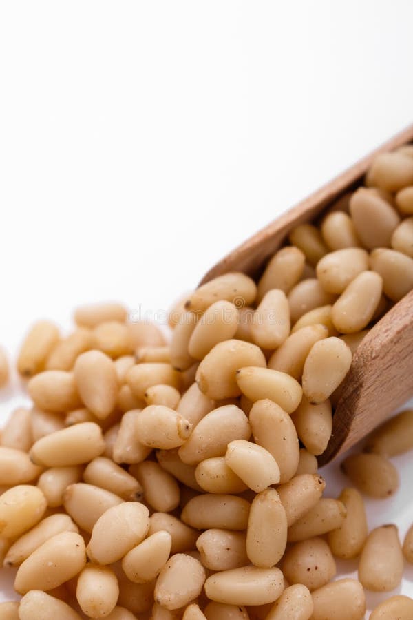 Peeled pine nuts on a white acrylic background stock images