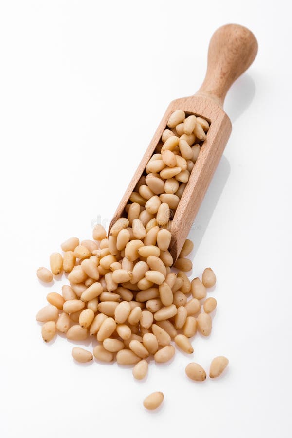 Peeled pine nuts on a white acrylic background stock photo
