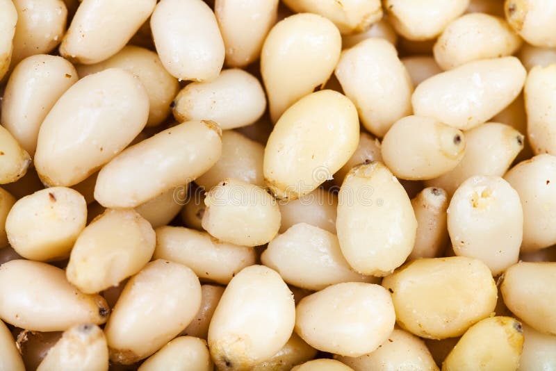 Peeled pine seeds close up royalty free stock images