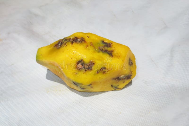 Rotten mango fruite isolated on a white background, Stock image