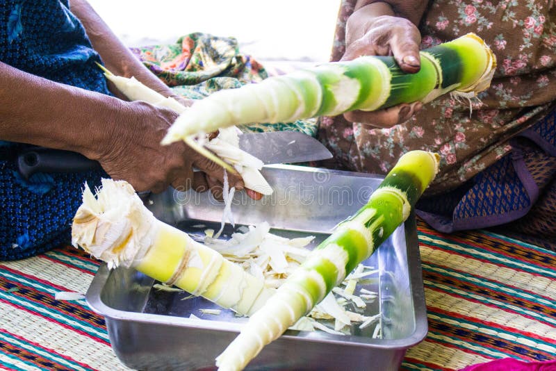 Peeling bamboo stock photo. Image of asiatic, grass, evergreen 44863394