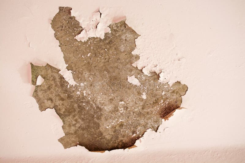 Peeling Off the Plaster on the Wall Stock Image Image of grungy