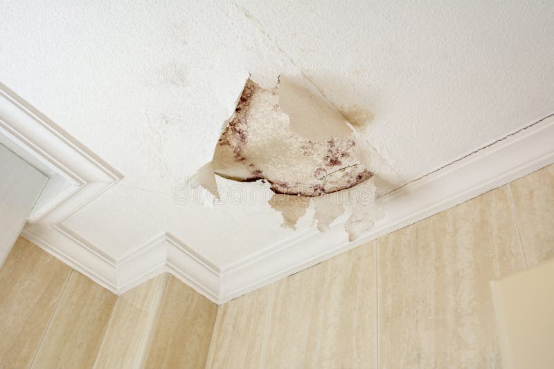 Shower leaking through ceiling