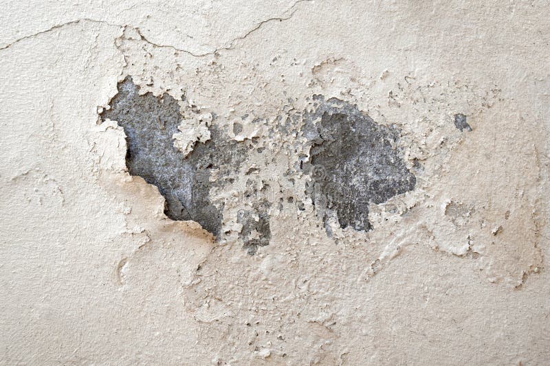 Peeling Painted Concrete Wall. Stock Photo Image of house,